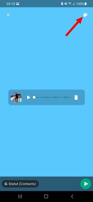 Put a voice note in the status of WhatsApp