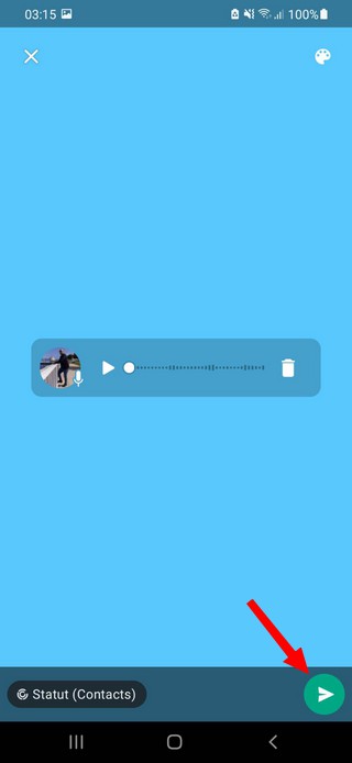 Put a voice note in the status on WhatsApp