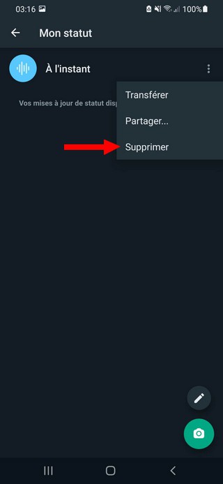 How to delete Whatsapp Voice Status