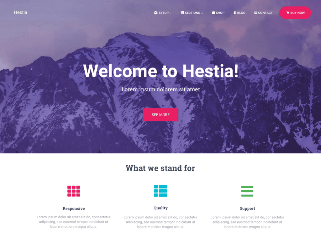 Hestia is a free WordPress theme
