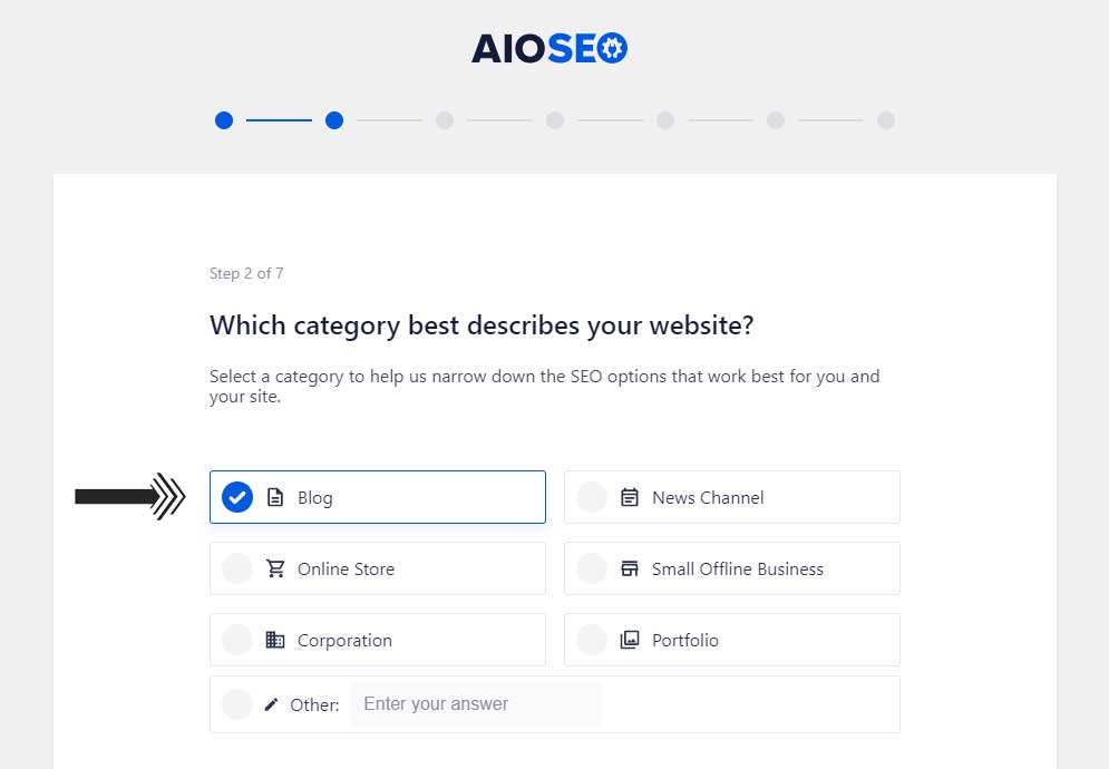 AIOSEO Website Category Selection Tab