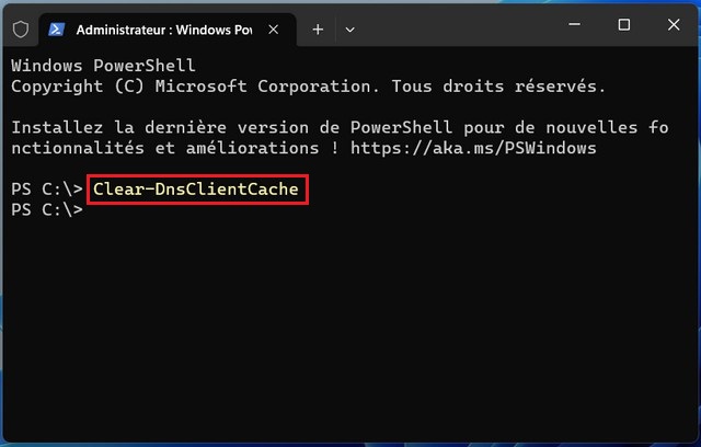 Clear DNS cache using PowerShell