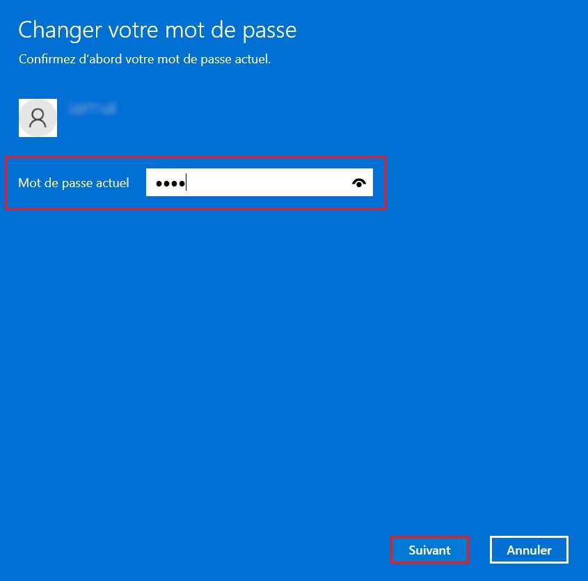 Enter the current password for your Windows 11 PC