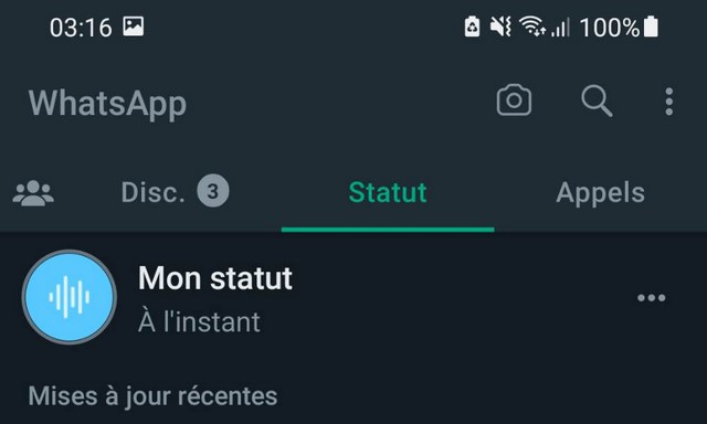 How to put a voice note in the status of WhatsApp