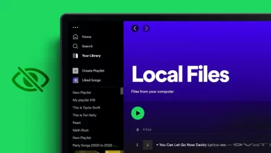 Top 6 ways to fix Spotify local files not showing up on Windows 11