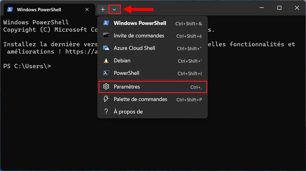 Windows Terminal settings