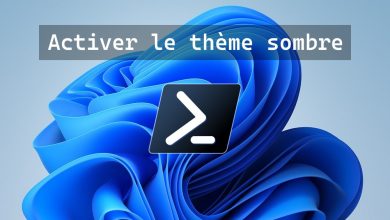 Comment activer le thème sombre sur Terminal Windows