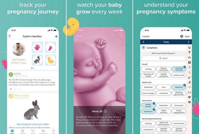 Ovary Pregnancy Tracker