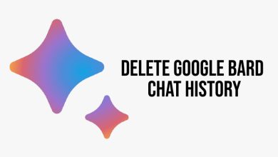 How to Delete Your Google Bard Chat History