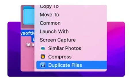 duplicate files