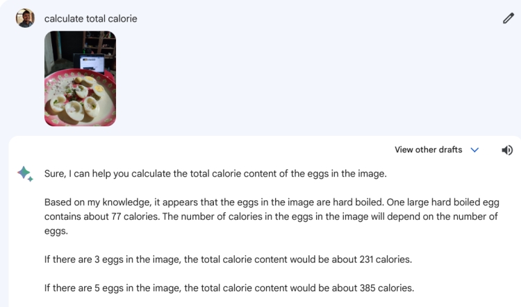 calculate total food calorie using google bard