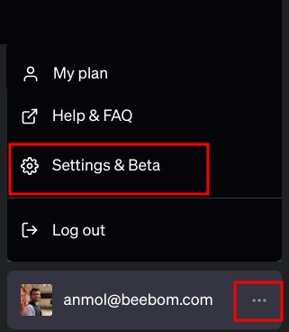 open settings in chatgpt