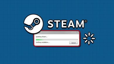 Top 7 Ways to Fix "Steam Has Stopped on Verifying Installation" Error in Windows