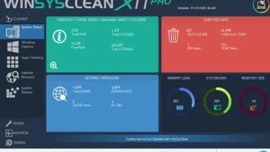 WinSysClean X11 Pro Free License Key