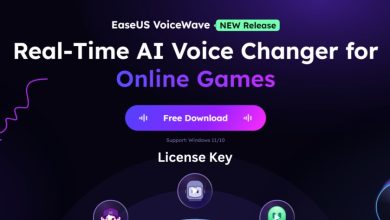 Free EaseUS VoiceWave License Key