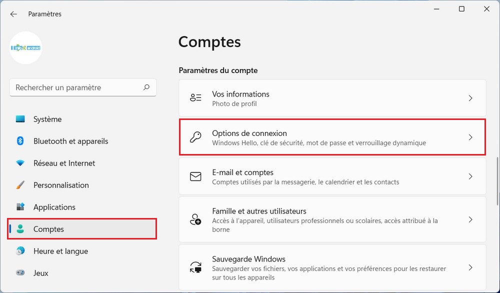 Sélectionnez l'onglet Options de connexion