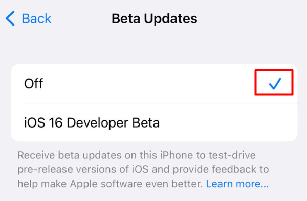 Disable receving Beta Updates on iPhone