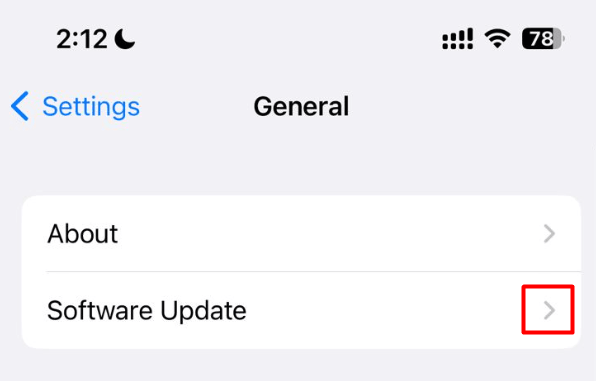 Check for Software Update in iPhone