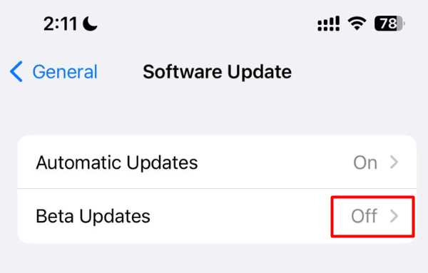 Turn On beta Updates in iPhone