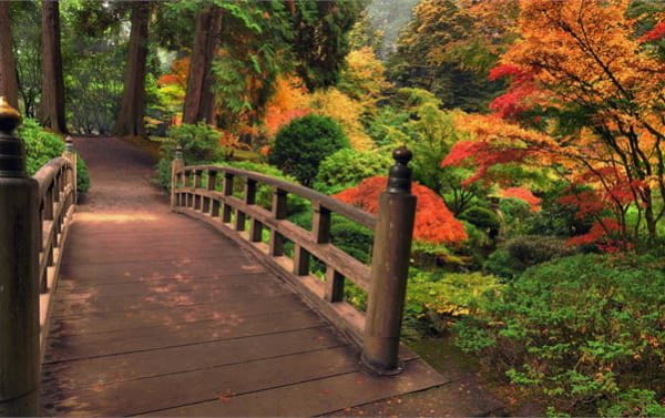 Bridges in Autumn