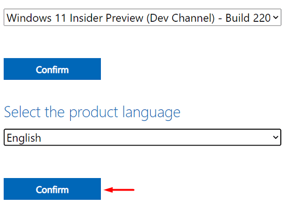 Download Windows 11 ISO File - Select language