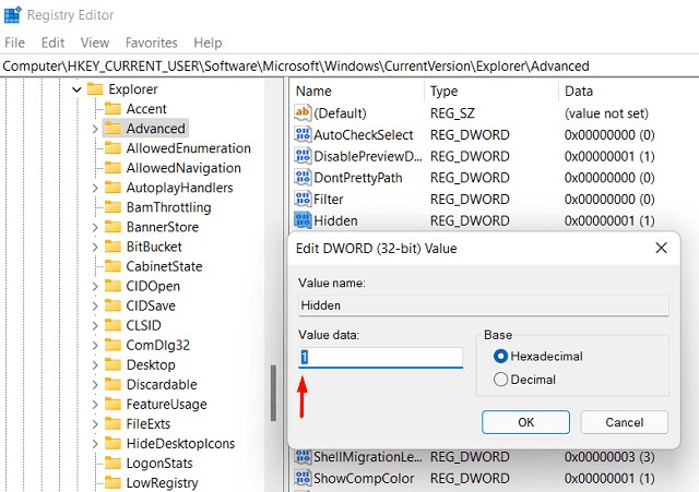 Show Hidden Files and Folders on Windows 11 - Tweak Registry