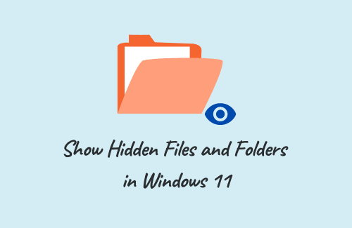 Show Hidden Files and Folders in Windows 11