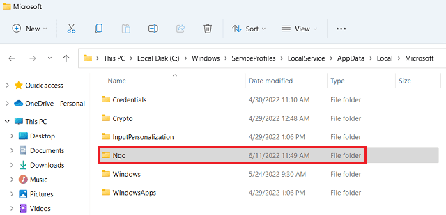 Delete NGC folder in Windows 11