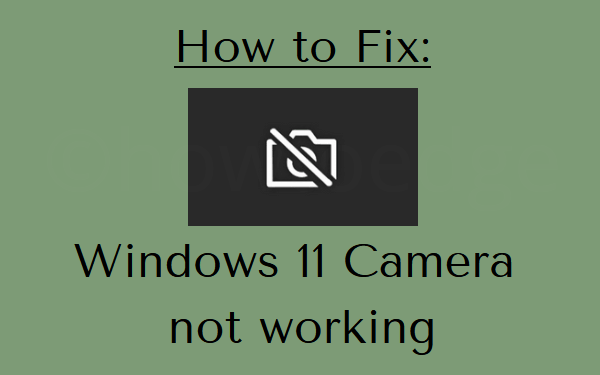 Windows 11 Camera Not Working