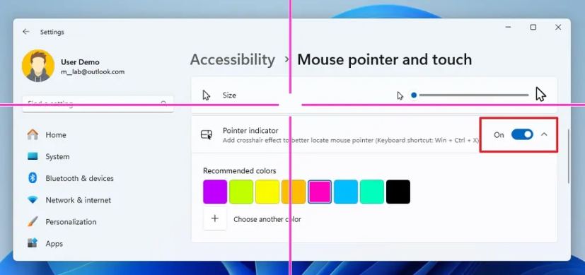 Mouse Pointer Indicator settings