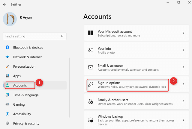 Sign-in Options on Windows 11