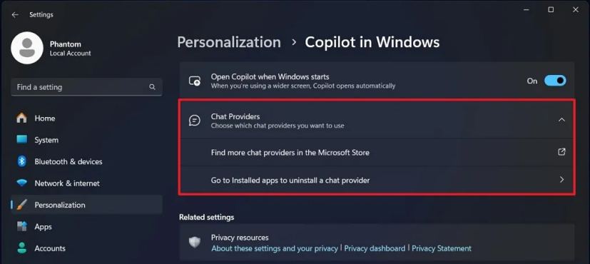 Windows 11 Chat Providers