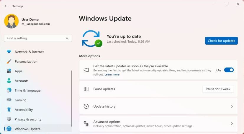 Windows 11 update settings