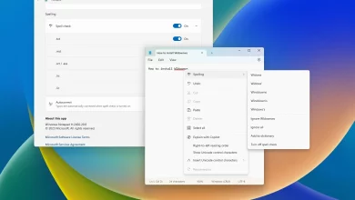 How to turn spell check on or off in Notepad for Windows 11