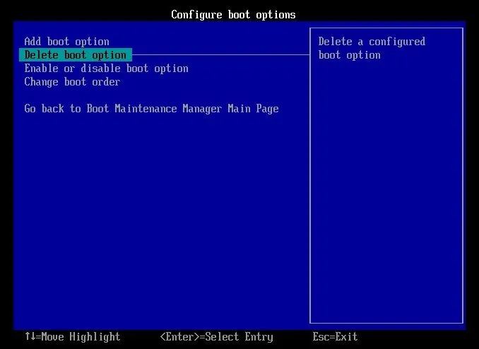 UEFI settings delete boot option