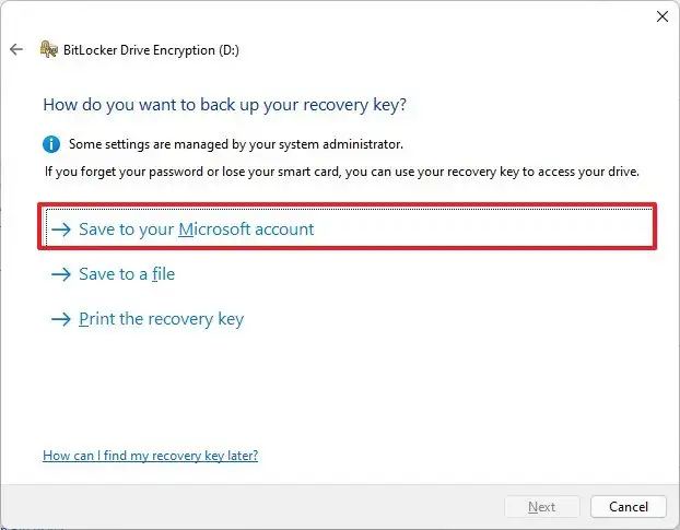 Save BitLocker To Go key on Microsoft account