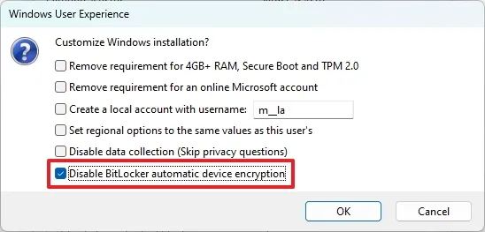 Disable BitLocker automatic drive encryption