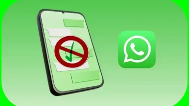 How to Block and Report Contacts on WhatsApp